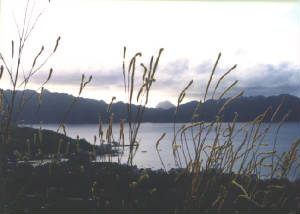 sunset.jpg
